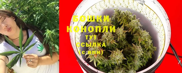 ГАЛЛЮЦИНОГЕННЫЕ ГРИБЫ Бронницы