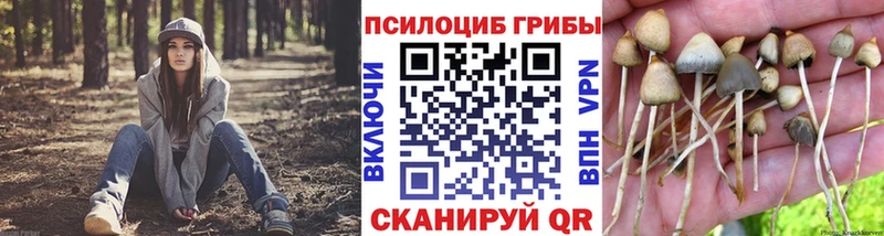 Псилоцибиновые грибы Psilocybe  даркнет сайт  Новая Усмань 